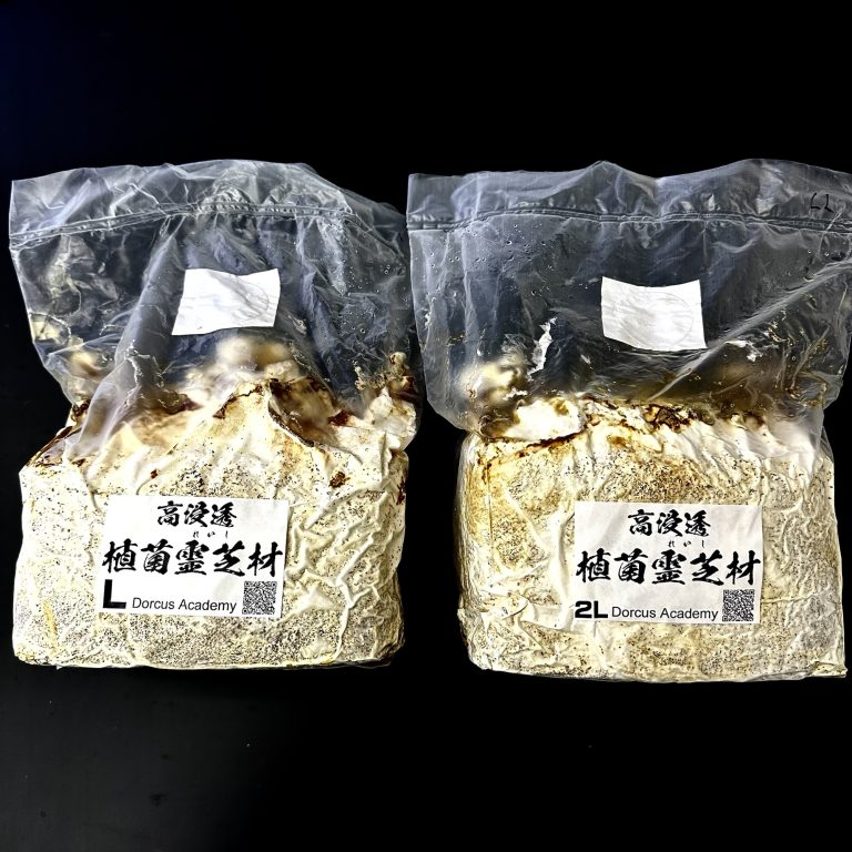 reishi2L