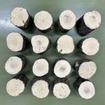 reishi3L