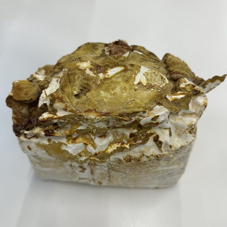 reishi2L